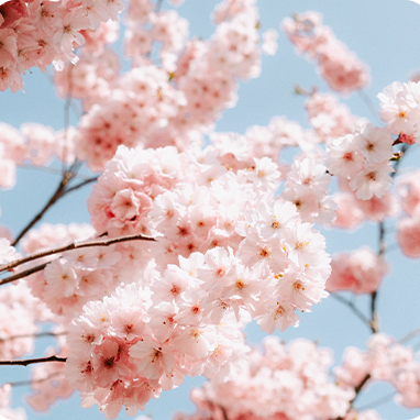 柔性振動(dòng)盤(pán)廠(chǎng)家,焊接機器人廠(chǎng)家，柔性振動(dòng)盤(pán)，焊接機器人，工業(yè)機器人，智哥機器人，視覺(jué)上料，機器人系統開(kāi)發(fā),機器人控制器,伺服驅動(dòng)器,機器人本體研發(fā),機器人本體,伺服電機,機器人系統集成,工業(yè)自動(dòng)化成套設備,伺服電缸,伺服電動(dòng)缸,伺服電動(dòng)缸廠(chǎng)家,國產(chǎn)伺服電動(dòng)缸